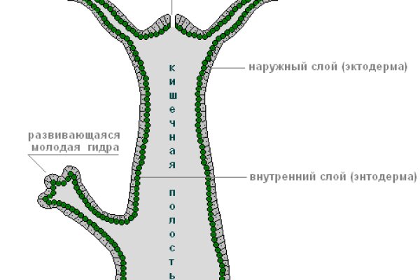 Kraken cc ссылка