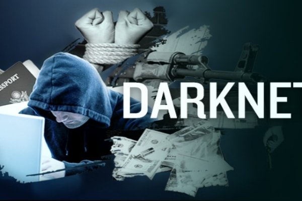 Почему не работает кракен