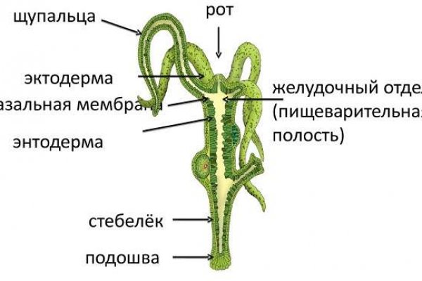 Маркетплейс кракен kraken darknet top