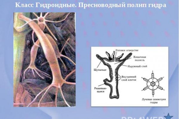 Кракен 2kr pro
